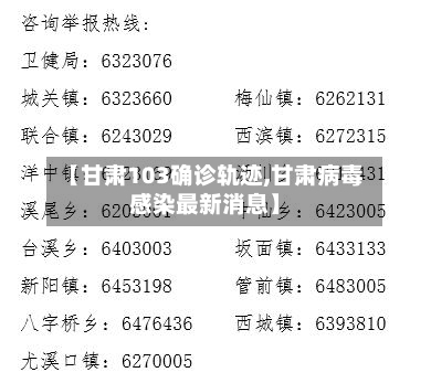 【甘肃103确诊轨迹,甘肃病毒感染最新消息】-第2张图片
