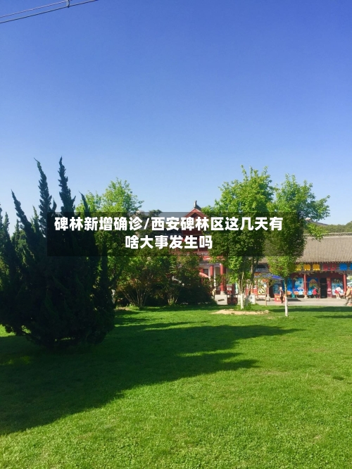 碑林新增确诊/西安碑林区这几天有啥大事发生吗-第1张图片