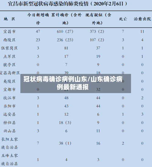 冠状病毒确诊病例山东/山东确诊病例最新通报-第2张图片