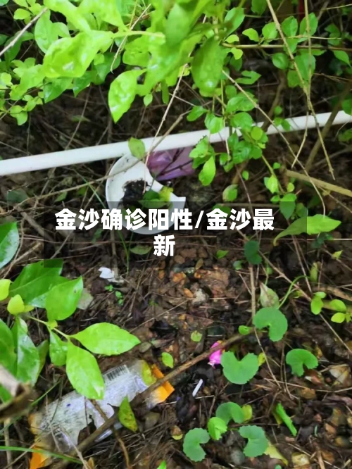 金沙确诊阳性/金沙最新