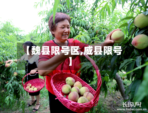 【魏县限号区,威县限号】-第1张图片
