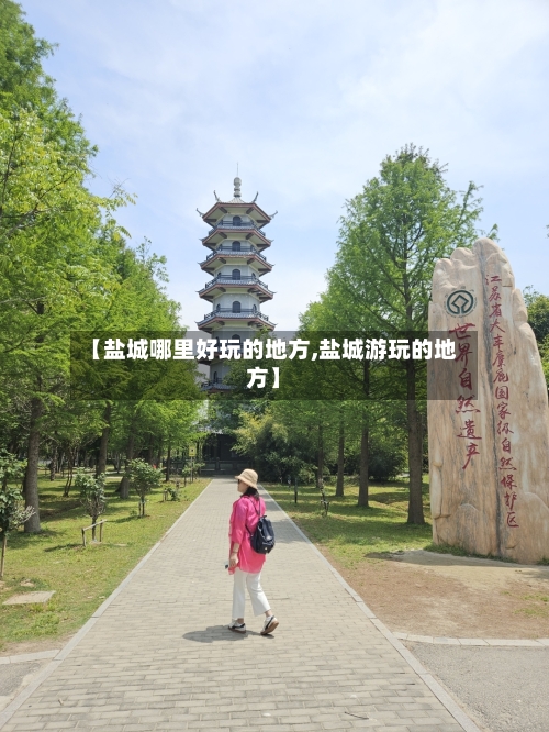 【盐城哪里好玩的地方,盐城游玩的地方】-第3张图片