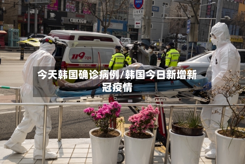今天韩国确诊病例/韩国今日新增新冠疫情-第3张图片