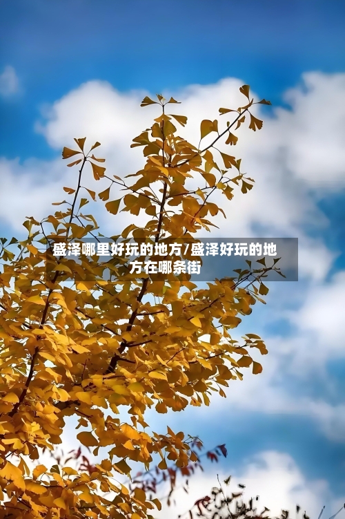 盛泽哪里好玩的地方/盛泽好玩的地方在哪条街-第3张图片