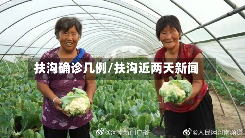 扶沟确诊几例/扶沟近两天新闻-第3张图片