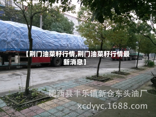 【荆门油菜籽行情,荆门油菜籽行情最新消息】