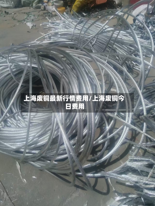 上海废铜最新行情费用/上海废铜今日费用-第2张图片