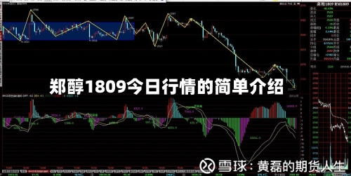 郑醇1809今日行情的简单介绍