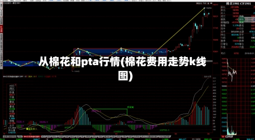 从棉花和pta行情(棉花费用走势k线图)-第2张图片