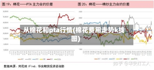 从棉花和pta行情(棉花费用走势k线图)