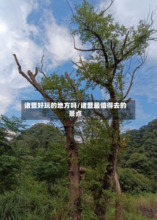 诸暨好玩的地方吗/诸暨最值得去的景点
