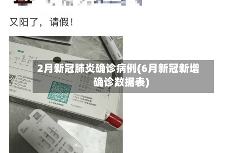 2月新冠肺炎确诊病例(6月新冠新增确诊数据表)