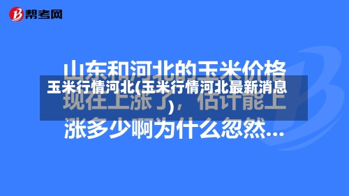 玉米行情河北(玉米行情河北最新消息)-第2张图片