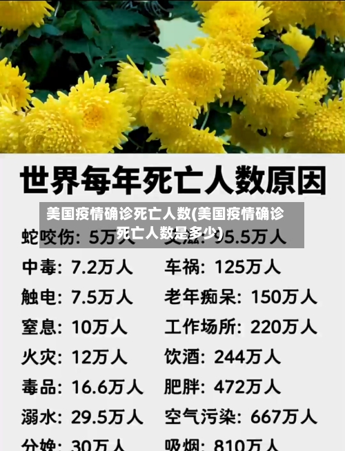美国疫情确诊死亡人数(美国疫情确诊死亡人数是多少)-第3张图片
