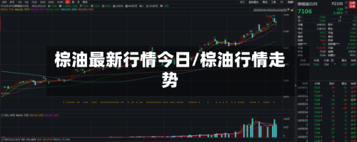 棕油最新行情今日/棕油行情走势-第2张图片
