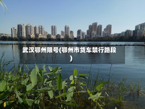 武汉鄂州限号(鄂州市货车禁行路段)