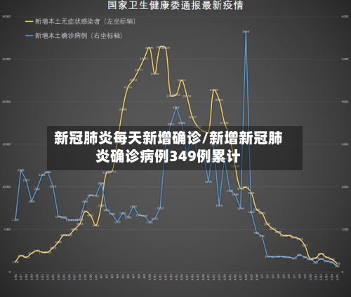 新冠肺炎每天新增确诊/新增新冠肺炎确诊病例349例累计