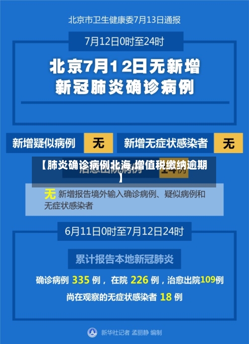 【肺炎确诊病例北海,增值税缴纳逾期】-第3张图片