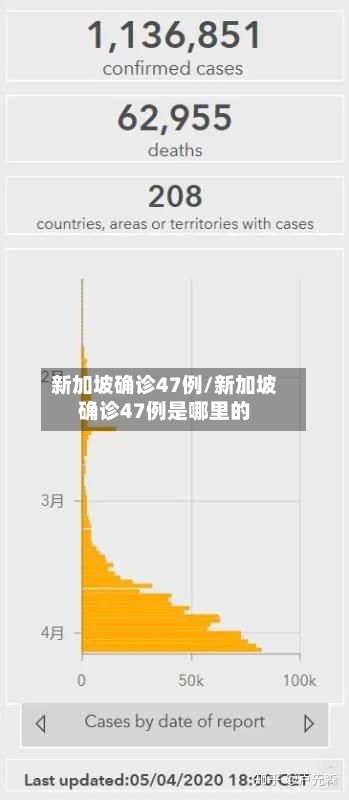 新加坡确诊47例/新加坡确诊47例是哪里的-第2张图片