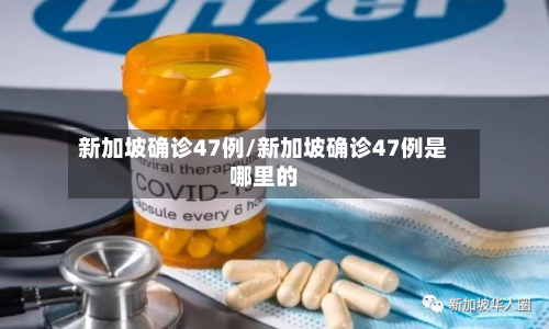 新加坡确诊47例/新加坡确诊47例是哪里的
