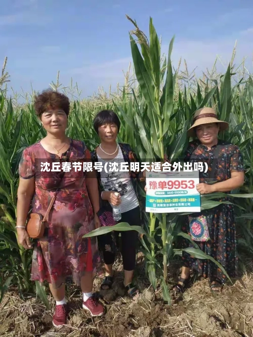 沈丘春节限号(沈丘明天适合外出吗)-第2张图片