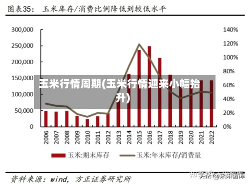 玉米行情周期(玉米行情迎来小幅抬升)-第2张图片