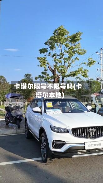 卡塔尔限号不限号吗(卡塔尔本地)-第3张图片