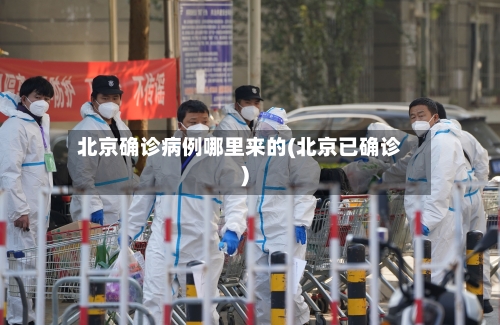 北京确诊病例哪里来的(北京已确诊)-第2张图片