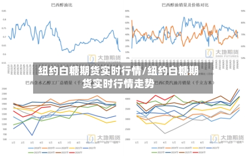 纽约白糖期货实时行情/纽约白糖期货实时行情走势