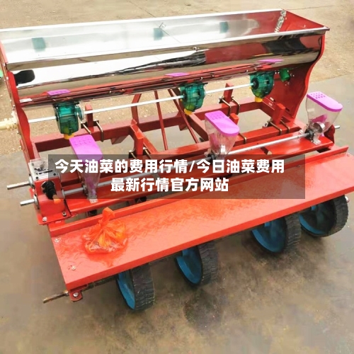 今天油菜的费用行情/今日油菜费用最新行情官方网站-第2张图片